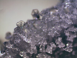 Bresser Erudit ICD Stereo Microscope - 11