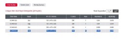 Starax25cmTelHasırSepetliGizliRaylıDeterjanlık(ÇiftAçılım)Sağ(S-2444-US-A) - 3