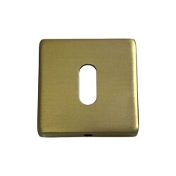 System Kare Oda Kapı Rozeti Gold Branch Renk (RO11N GB) - 1