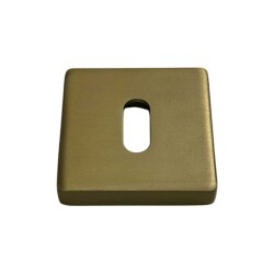 System Kare Oda Kapı Rozeti Gold Branch Renk (RO11N GB) - 2