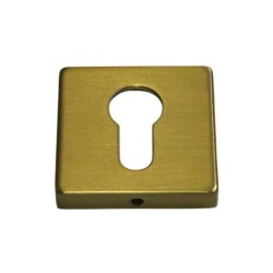 System Kare Yale Dış Kapı Kolu Rozeti Gold Branch Renk (RO11Y GB) - 2